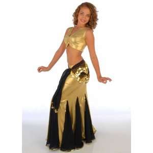  Belly Dance Skirt Top & HipScarf Costume Set: Toys & Games