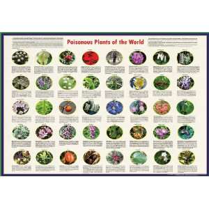 American Educational JPT 0648 Poisonous Plants Poster of The World, 38 