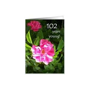  102nd Birthday Card   Pink Roses Card: Toys & Games