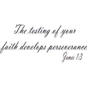  Art, the Testing of Your Faith Develops perseverance: Everything Else
