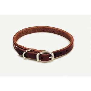   Latigo Collar 1/2x14 (Catalog Category: Dog / Leather Collars Leads