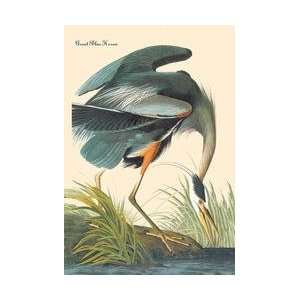  Great Blue Heron 20x30 poster