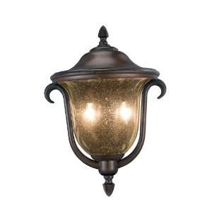   Santa Barbara Porch Light, Mayon Bronze Finish: Home Improvement