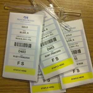  Cruisetags, Cruise Ship Luggage Tags (8 Pack): Office 