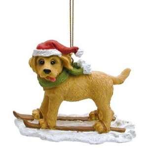  Skiing Yellow Lab Puppy Ornament: Home & Kitchen