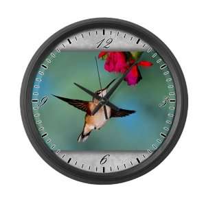    Large Wall Clock Black Chinned Hummingbird: Everything Else
