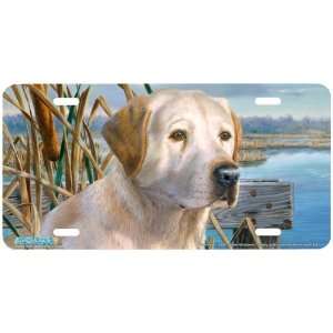 5326 Duck Alert Yellow Labrador Retriever Dog License Plate Car Auto 