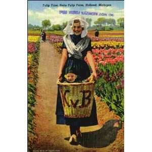   MI   Tulip Time, Nellis Tulip Farm. 1BH2247 1941