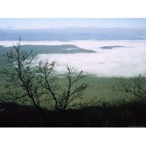  Morning Fog Blankets Thunder Ridge in Jefferson National 