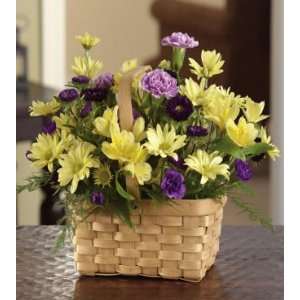 Same Day Flower Delivery Celebrate the Day