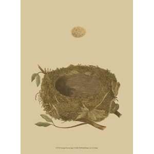  Antique Nest Egg I   Poster (9.5x13)