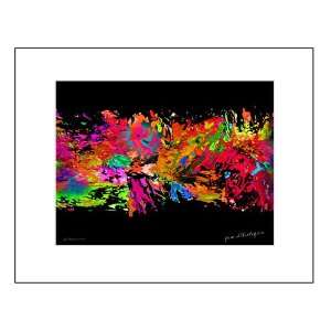  Feu dArtifice framed giclee print 20X16