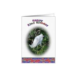  92nd Birthday Card with Snowy Egret in Water Card Toys 