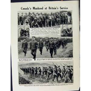  1915 WORLD WAR BRITISH SOLDIERS OFFICERS OTTOWA PELLATT 