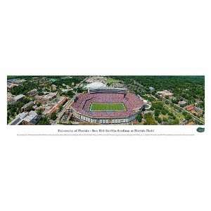   Hill Griffin Stadium at Florida Field Panoramic Print: Home & Kitchen