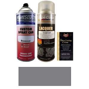   Metallic Spray Can Paint Kit for 1993 Nissan Sentra (WK2): Automotive