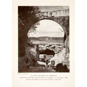   Orizab Donkey Burro Arch   Original Halftone Print