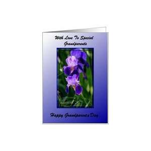  Grandparents Day ~ Grandparents ~ Framed Purple Iris Card 