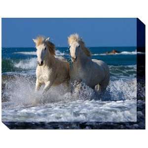  High Definition Canvas Art 72009 White Horses   Normandy 