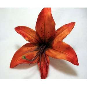  NEW Orange Tiger Lily Hair Flower Clip, Limited.: Beauty