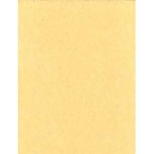 Light Parchment Paper 25 Pack (8 1/2 X 11) Wicca Wiccan Metaphysical 