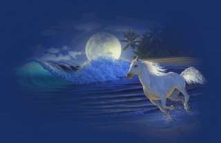 Animated White Horse With Free Music Amazing Nice  