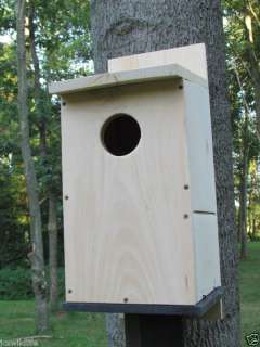 birdhouse Screech Owl & Saw whet Owl House  