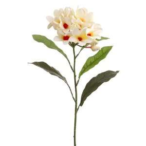  29 Silk Frangipani Plumeria Flower Spray  Cream/Orange 