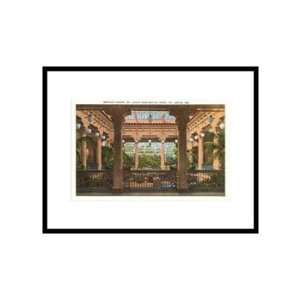  Reptile House, Zoo, St. Louis, Missouri Pre Matted Poster 