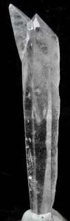 AAA Peruvian Lemurian DT Quartz Crystal 3156  