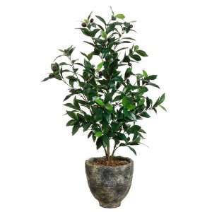  Olive Tree Silk Plant and Greenery