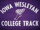 Iowa Wesleyan College Tigers Pins IWC TIGERS Set 2 VINTAGE  