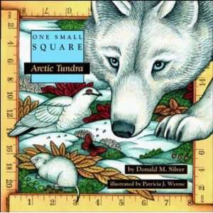  Arctic Tundra [Paperback] Donald Silver Books