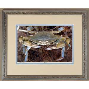  Blue Crab Fine Art Cotton Print Framed 18x24