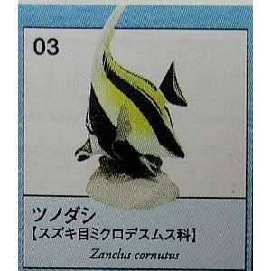   Idol Zanclus Cornutus High Grade Exotic Fish Replica  Yujin Japan
