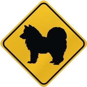    ONLY  AMERICAN ESKIMO  CROSSING SIGN DOG