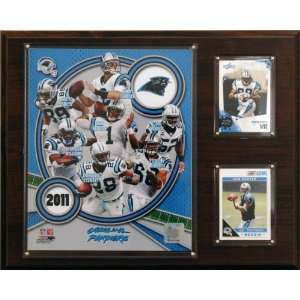  NFL Carolina Panthers 2011 Team Plaque