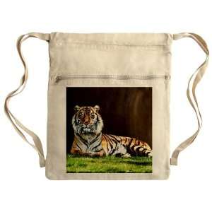   Messenger Bag Sack Pack Khaki Bengal Tiger Stare HD 