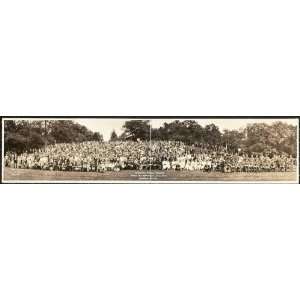  Panoramic Reprint of Pershing Family Reunion, Idlewild Park 