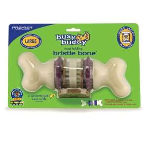  Busy Buddy Bristle Bone, Large