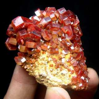 Red Vanadinite Crystal Cluster vamo9ie0109  