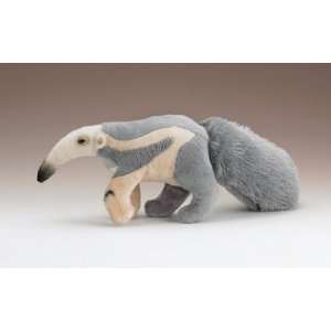  Anteater 16 by Wild Life Artist