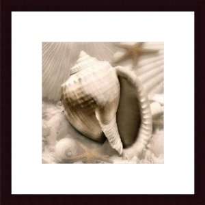  Donna Geissler Iridescent Seashell III Wood Framed Art 