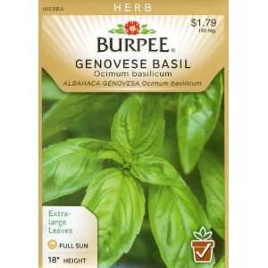    Burpee 53752 Herb Basil, Genovese Seed Packet Patio, Lawn & Garden