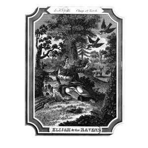 Elijah is fed by ravens at a brook (Cerith) near Jordan, Kings 1, Chap 