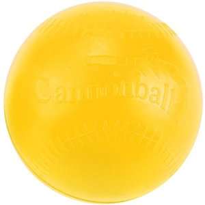  Markwort The Cannonball Weighted Ball