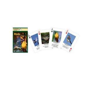  New Impact Photographics Playing Cards Birds North 