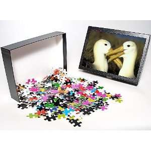   Jigsaw Puzzle of South America, from Danita Delimont Toys & Games