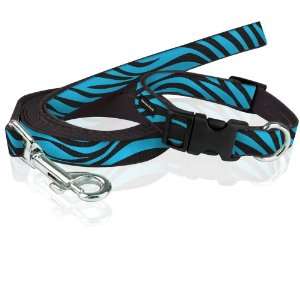   Yak Pak Dog Leash and Collar Set, Small, Turquiose Zebra