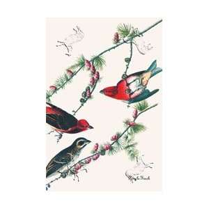     Artist: John James Audubon  Poster Size: 28 X 19: Home & Kitchen